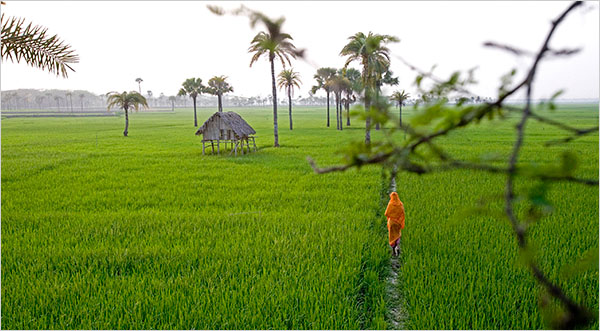 Beautiful Bangladesh