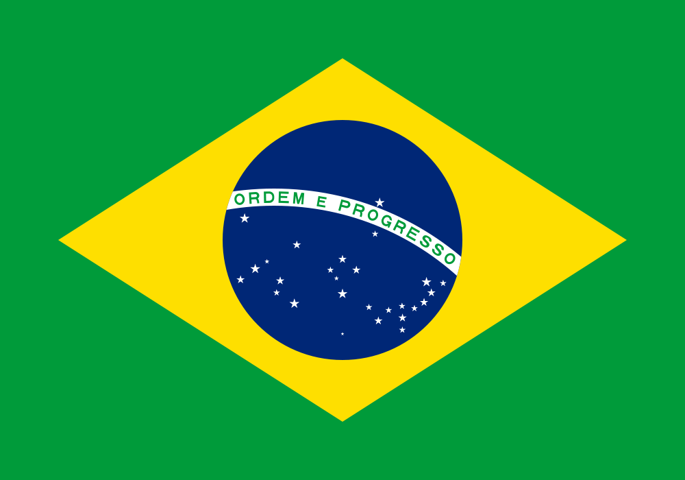 Brazil world cup Flag