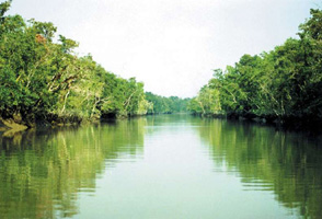 sundarbans