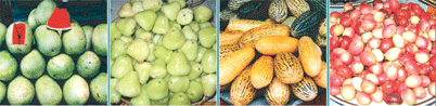 Bangladeshi fruits