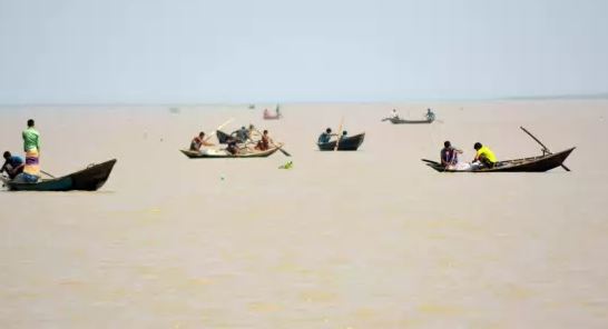 Bangladeshi fish hilsa catching by Fishermen