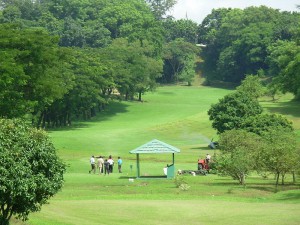 Golf_Club