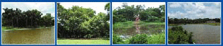 bangladesh-park-race