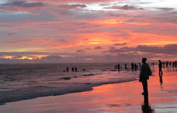 Dhaka to Cox's Bazar Bus Ticket Price -Greenline Shohag Saudia