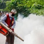 Chikungunia Fever Treatment and Prevention
