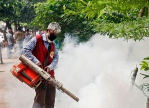 Chikungunia Fever Treatment and Prevention