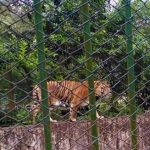 Holiday Opening & Closing Hours – Dhaka zoo Lalabag Shisu Park