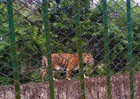 Holiday Opening & Closing Hours – Dhaka zoo Lalabag Shisu Park