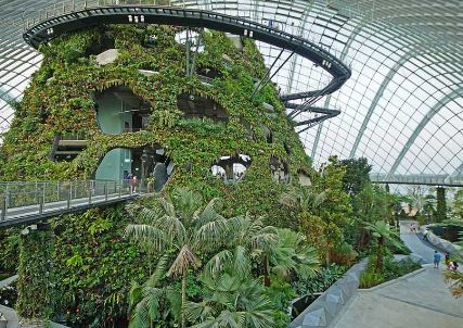 Cloud Forest.