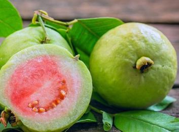 Health benefits of the healthiest fruit Guava