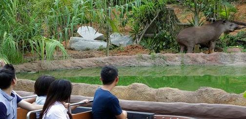 River Safari, places to visit in Singapore.