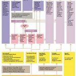 Overview of the Singapore School System